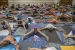 Ashtanga Yoga Confluence San Diego Manju Jois 10